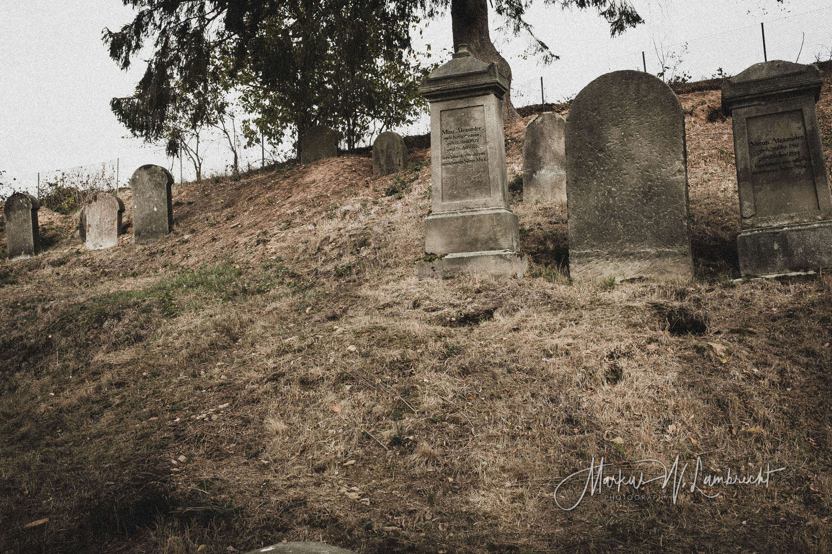 Landau, Jüdischer Friedhof